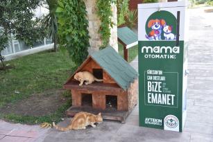SOKAK HAYVANLARI İÇİN MAMAMATİK UYGULAMASI 