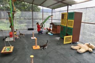 SOKAK HAYVANLARINA HASTANE KONFORUNDA TEDAVİ VE BAKIM YAPILIYOR 