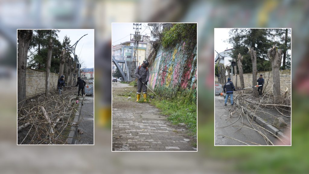 ERİKLİMAN MEVKİİ SAHİL BANDINDA HUMMALI ÇALIŞMA