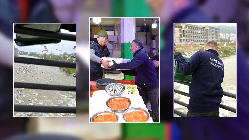 GİRESUN BELEDİYESİ’NDEN DOĞA VE CANLILAR İÇİN GERİ DÖNÜŞÜM PROJESİ