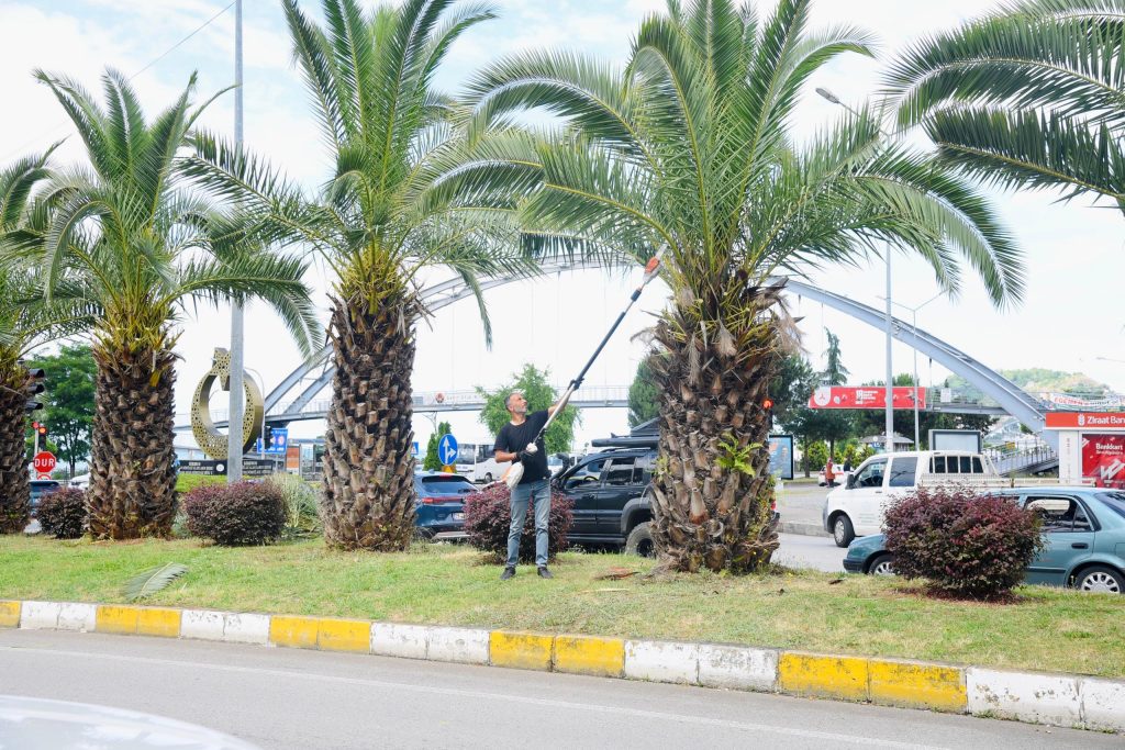 BELEDİYE SAHA EKİPLERİ ŞEHRİN DÖRT BİR YANINDA ÇALIŞIYOR