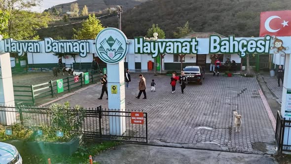 GİRESUN BELEDİYESİ HAYVAN BARINAĞI