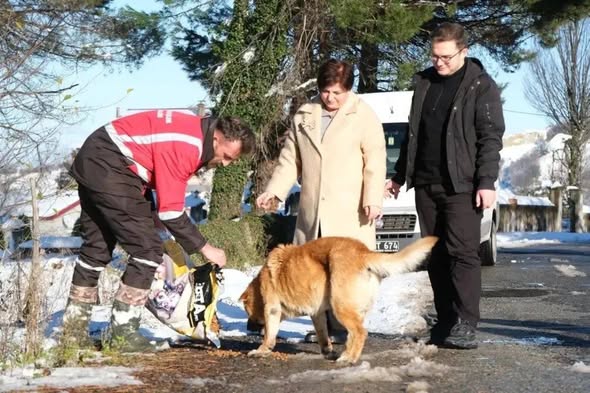 Giresun’da can dostları için ekipler seferber oldu