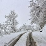 GİRESUN BELEDİYESİ BEYAZ ÖRTÜYE BÜRÜNEN MAHALLELERDE