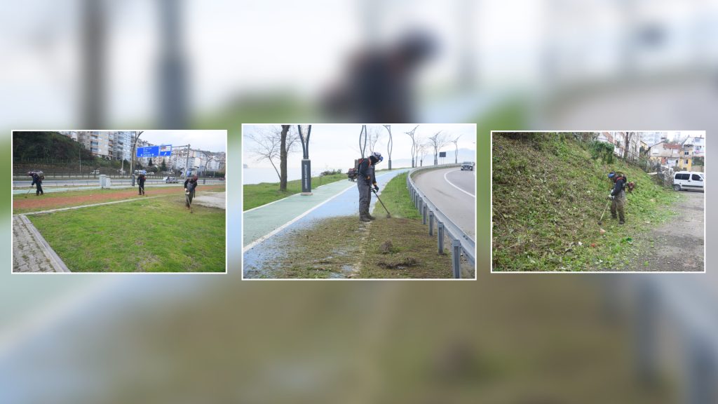 SAHİL BANDINDA BAKIM VE TEMİZLİK ÇALIŞMASI YAPILIYOR