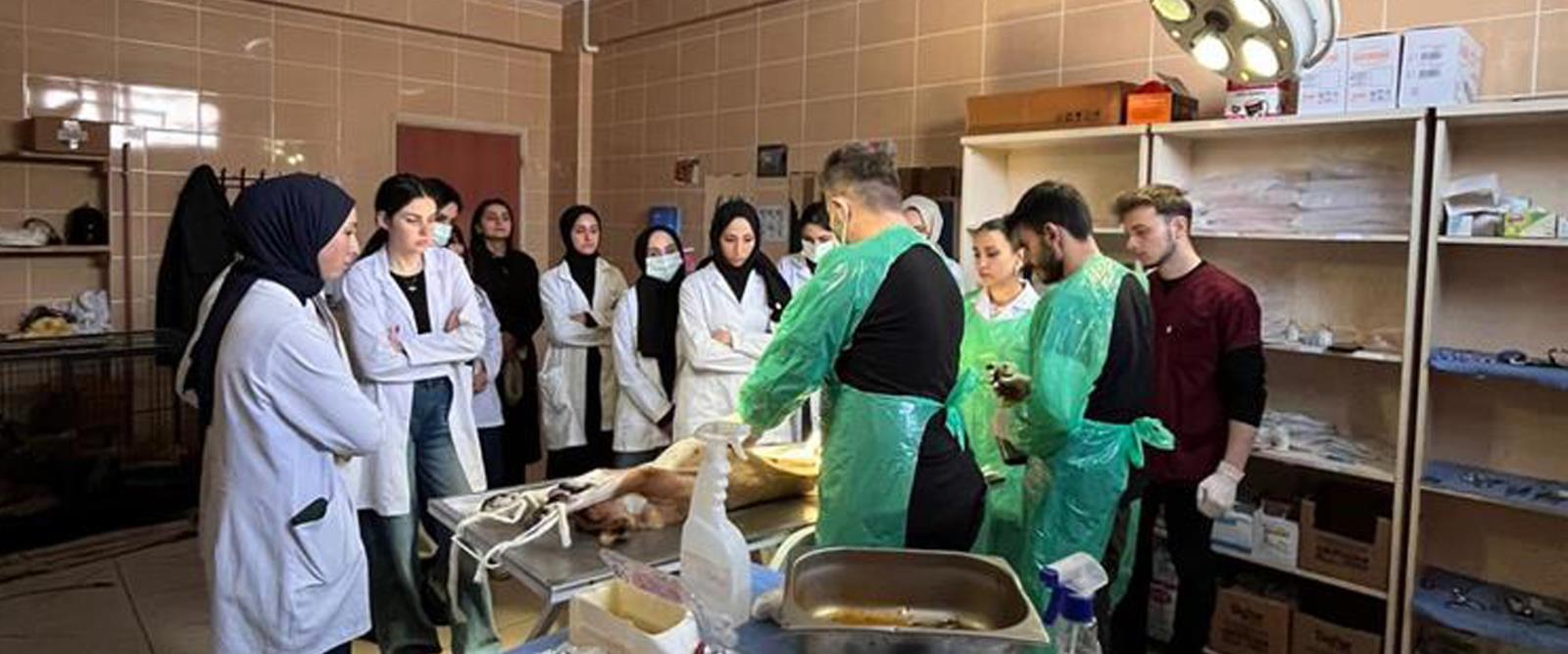 Alucra Turan Bulutçu MYO’dan Sokak Hayvanlarına Uygulamalı Destek