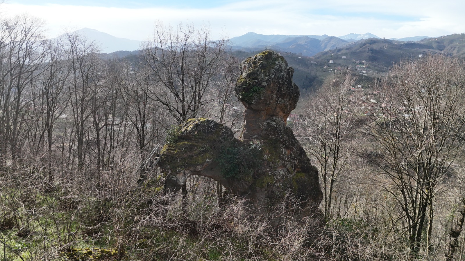 Gelin Kayası’nda Bitki Temizliği Yapıldı