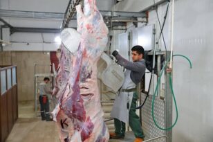 Bulancak Belediye Mezbahanesinde Ramazan Hassasiyeti!