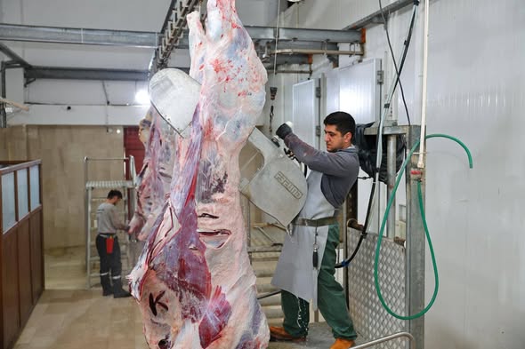 Bulancak Belediye Mezbahanesinde Ramazan Hassasiyeti!