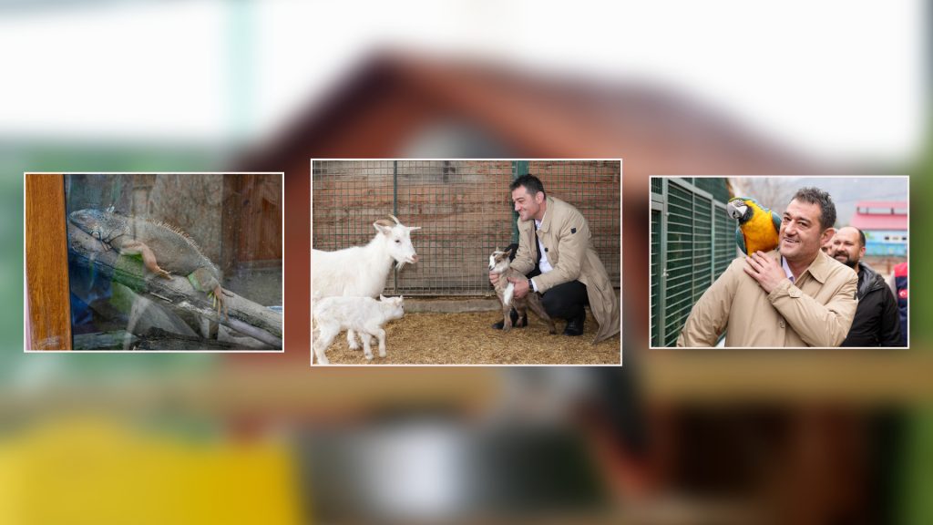 HAYVANAT BAHÇESİNDEKİ HAYVAN TÜRLERİ ARTIYOR