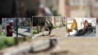 GİRESUN BELEDİYESİ SAHA EKİPLERİ TÜM MAHALLELERDE