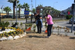 GİRESUN BELEDİYESİ PARK VE BAHÇELER EKİPLERİNDEN ŞEHİR GENELİNDE YOĞUN MESAİ