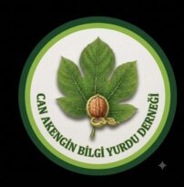 Deyin ki film şerididir, gözlerimden geçer.