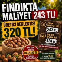 FINDIKTA 255 TL AÇIKLANDI, ÜRETİCİ HÜSRANDA