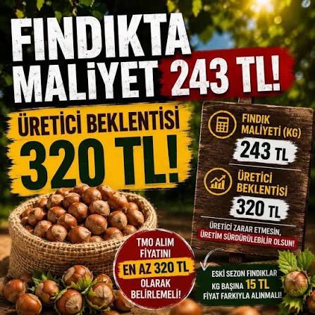 FINDIKTA 255 TL AÇIKLANDI, ÜRETİCİ HÜSRANDA