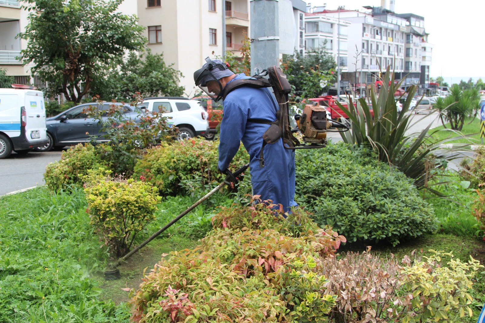 GİRESUN BELEDİYESİ YEŞİL ALANLARDA
