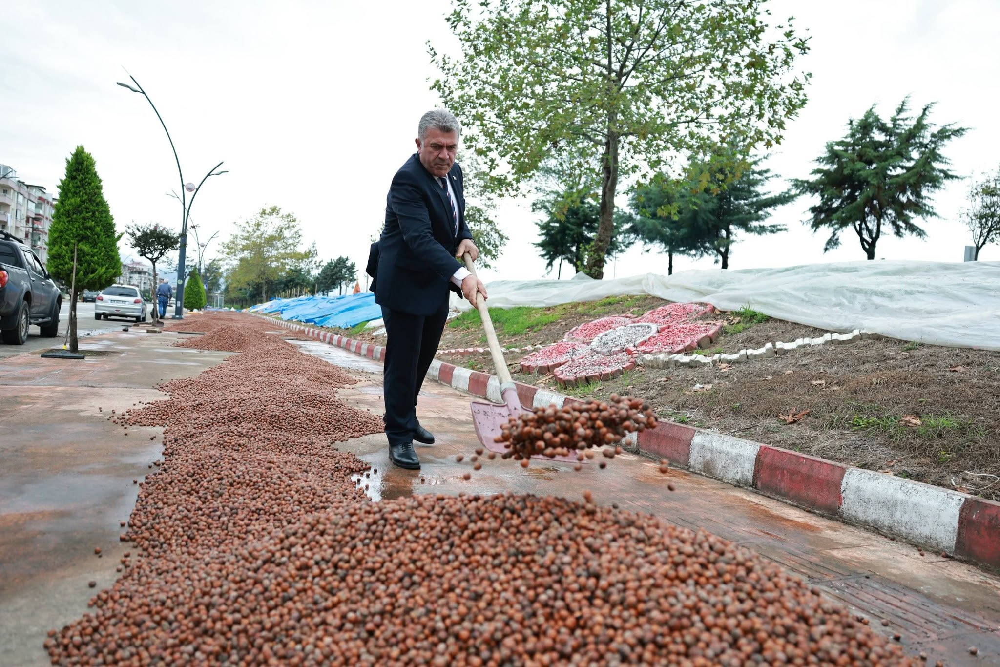Başkan Sıbıç, Fındık Üreticilerinin Emeğine Sahip Çıkıyor